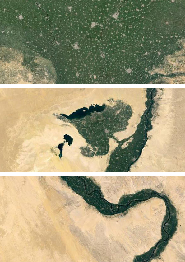Fig. 3 Aerial sections of Egypt’s Nile Valley and Delta show “rhizomatic” socio-ecological complexity of social, urban, technological and environmental networks that cannot be simply relocated to remote and disconnected desert areas [Image source: Google Earth, 2015 – compiled by author; read more on large complex urban systems by Anil Bawa-Cavia at Urbagram: Microplexes, 2010]